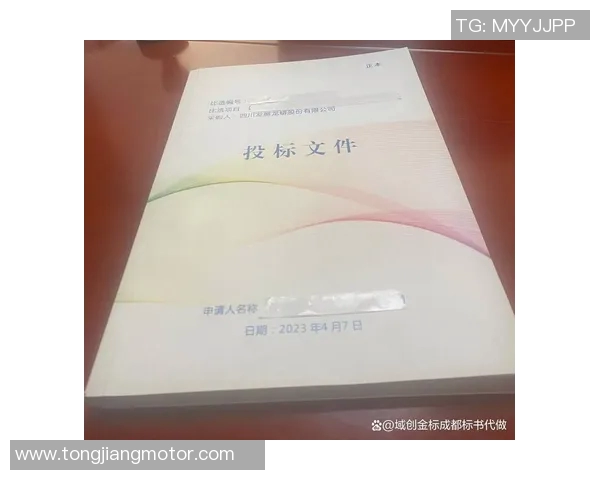 专业解读LNG反击策略及其在市场竞争中的应用分析